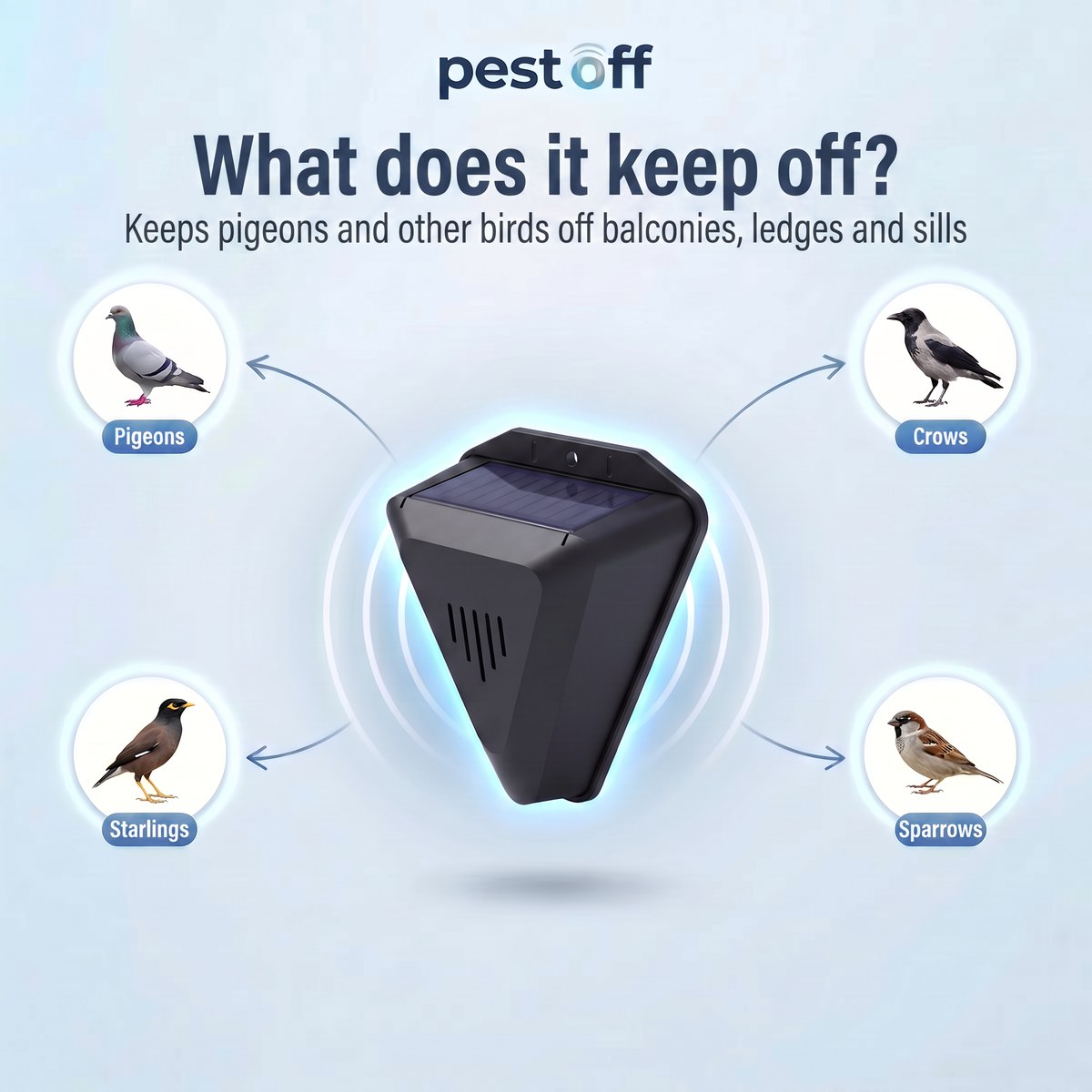 What the PestOff pigeon deterrent keeps off: pigeons, crows, starlings and sparrows