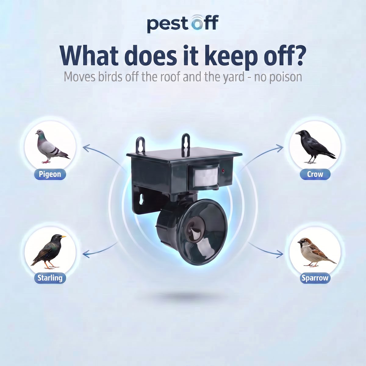 What the PestOff PRO keeps off: pigeons, crows, starlings and sparrows